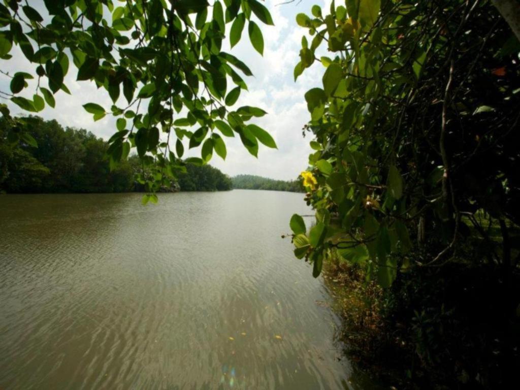 Mangrove Escapes Resort Бентота Экстерьер фото